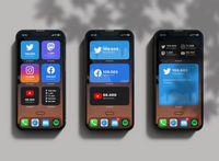 Follower Count Widgets